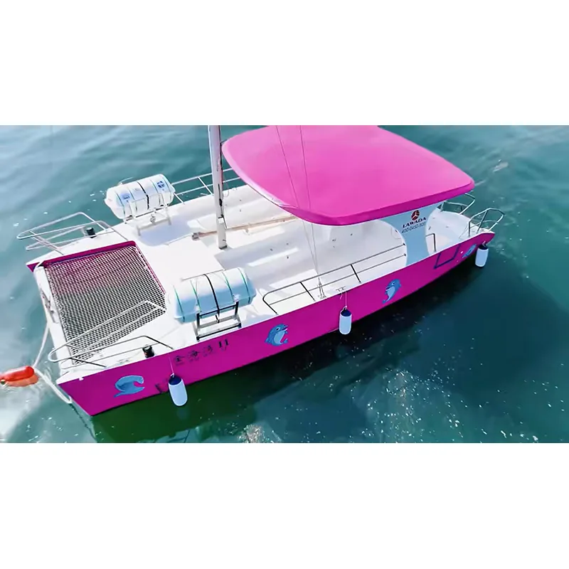 30ft kommersiële katamaran